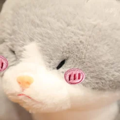 New La compagnie de la peluche Peluche chat croisé avec un requin