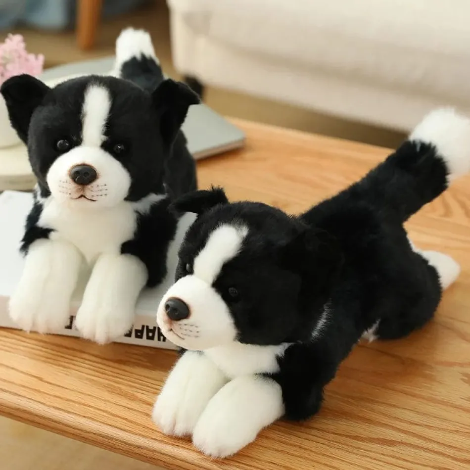 Outlet La compagnie de la peluche Peluche chien Border collie
